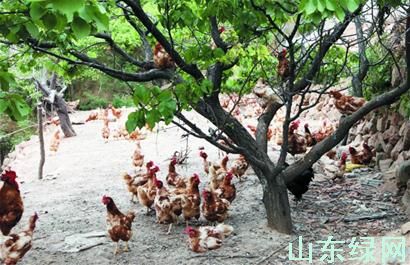 点此在新窗口浏览图片