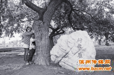 点此在新窗口浏览图片