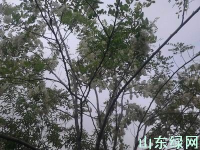 点此在新窗口浏览图片