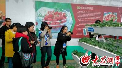 点此在新窗口浏览图片