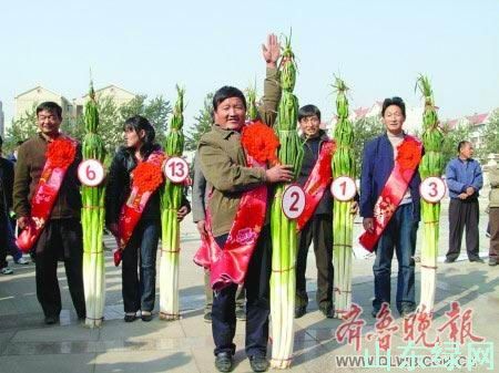 点此在新窗口浏览图片