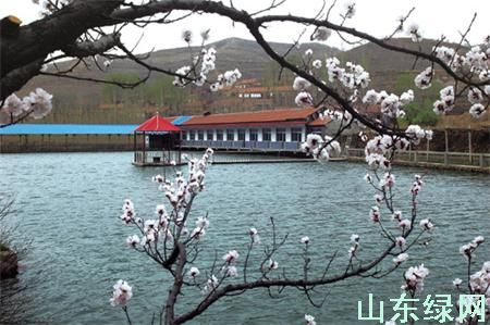 点此在新窗口浏览图片