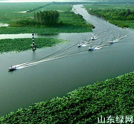 点此在新窗口浏览图片