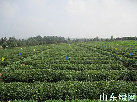点此在新窗口浏览图片