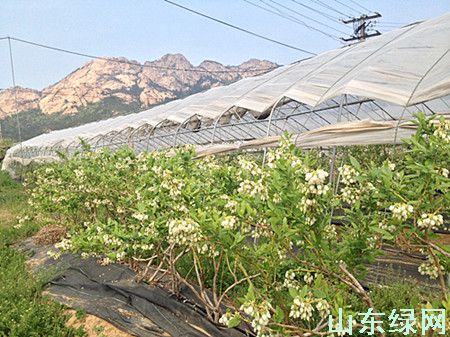点此在新窗口浏览图片