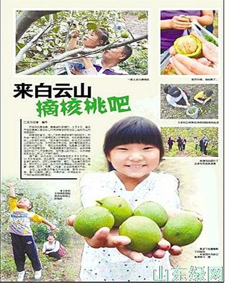 点此在新窗口浏览图片