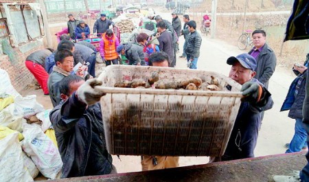点此在新窗口浏览图片