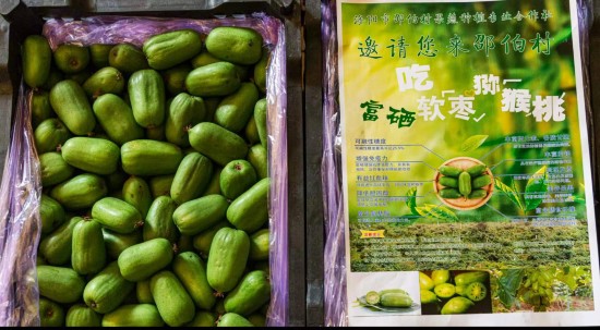点此在新窗口浏览图片