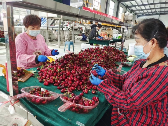 点此在新窗口浏览图片